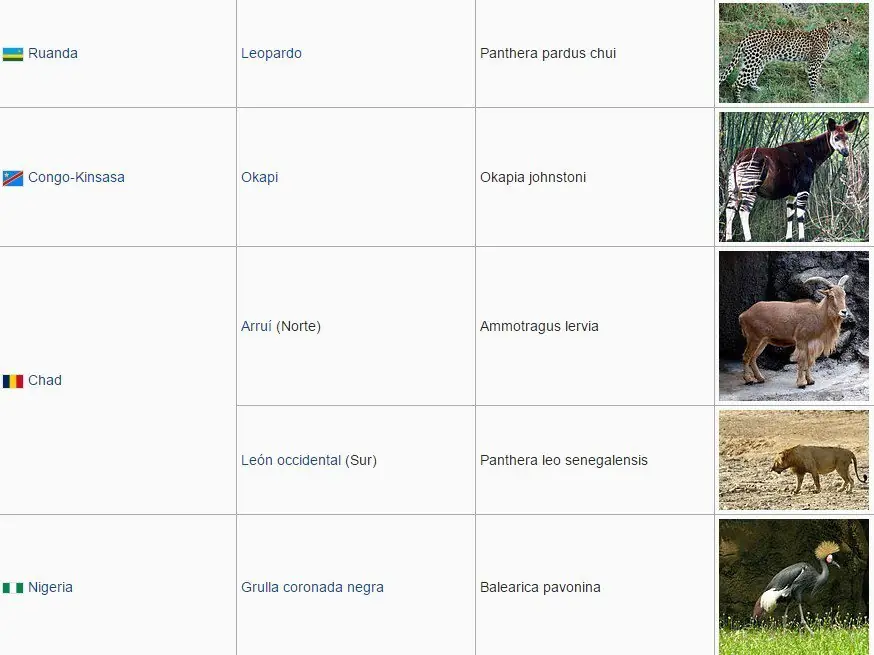 animales