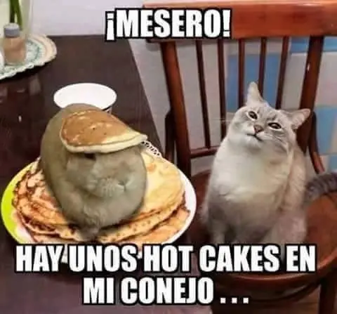 imagenes