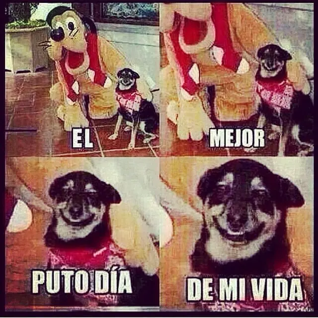 imagenes para reir