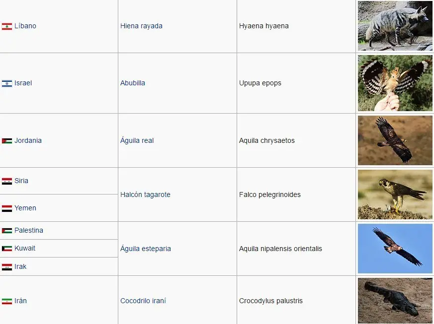Los Animales que representan a cada Pais