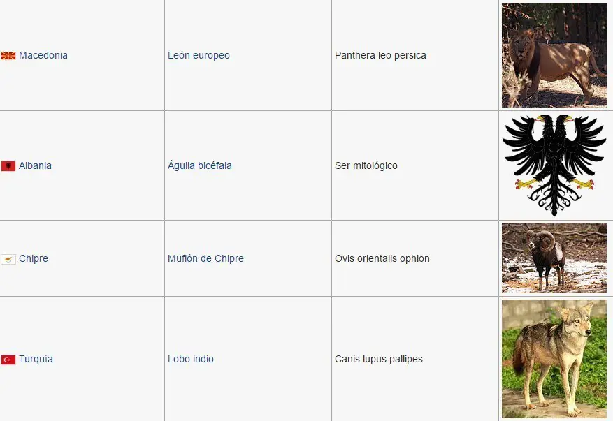 animales