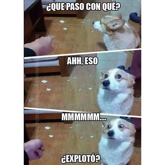 humor venezolano