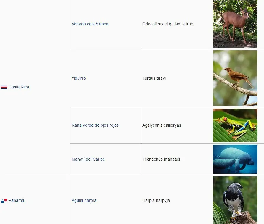 Los Animales que representan a cada Pais