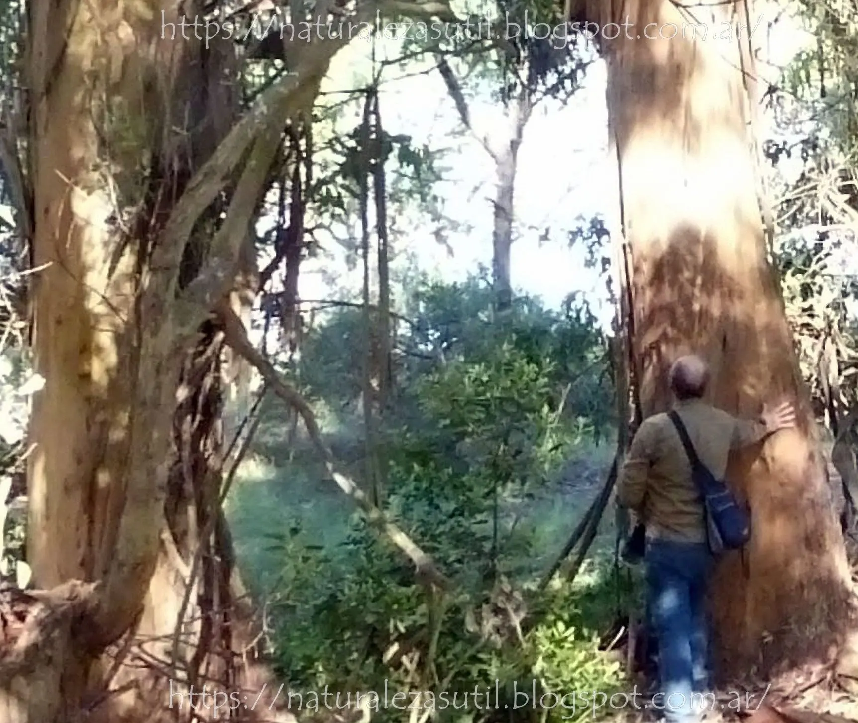 El santuario de la vida