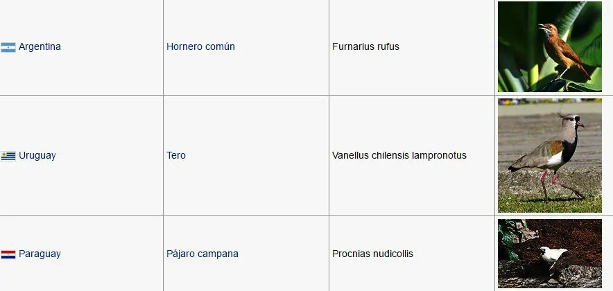 representativos