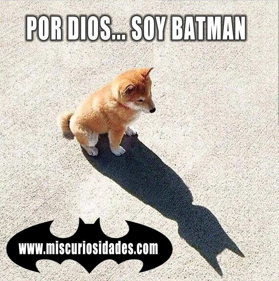 imagenes graciosas