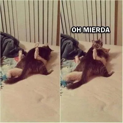 humor de cuadra