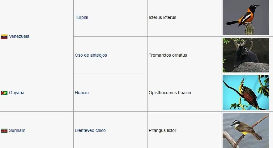 animales