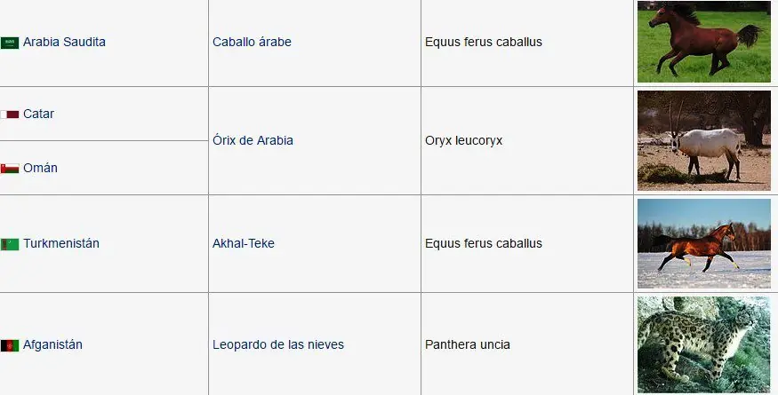 animales