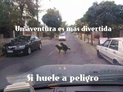 imagenes graciosas