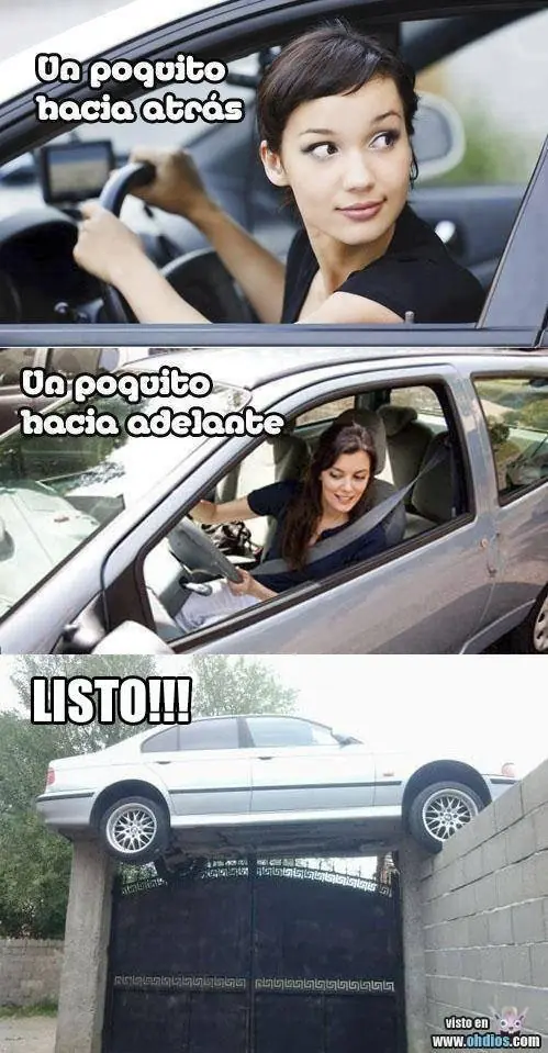 humor vene