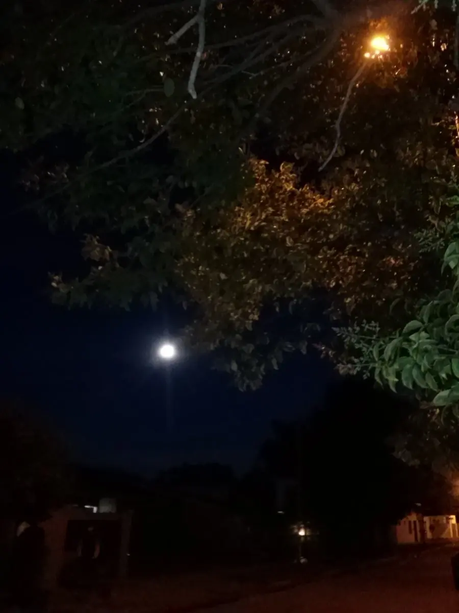 Los mejores Memes de la Super Luna!