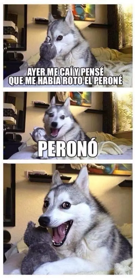 imagenes graciosas