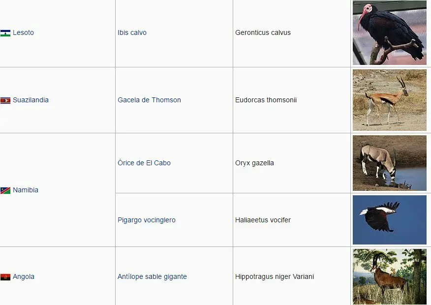 representativos