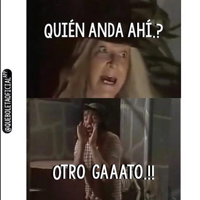 humor en la noche