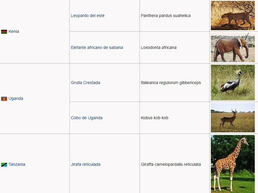 Los Animales que representan a cada Pais