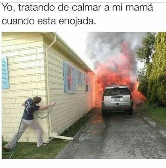 puerquito