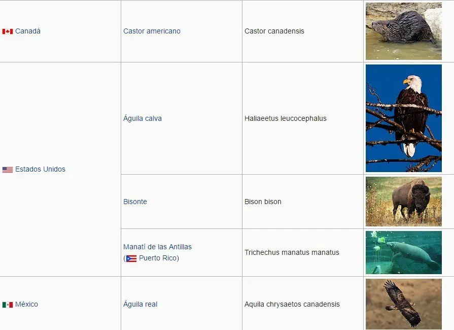 Los Animales que representan a cada Pais