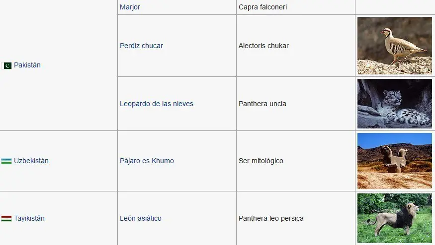 representativos