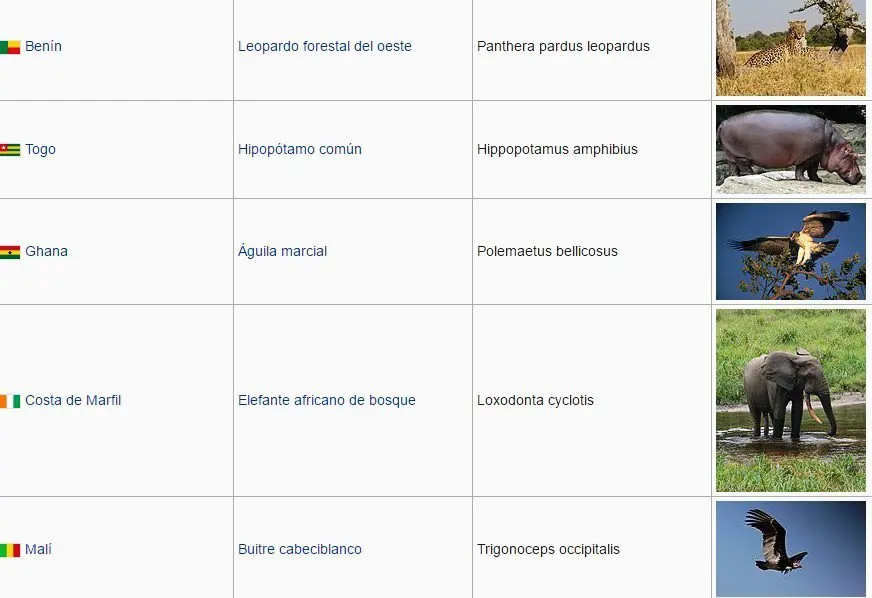 representativos