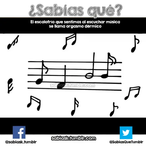 Imágenes que te haran pasar un rato agradable sonrie