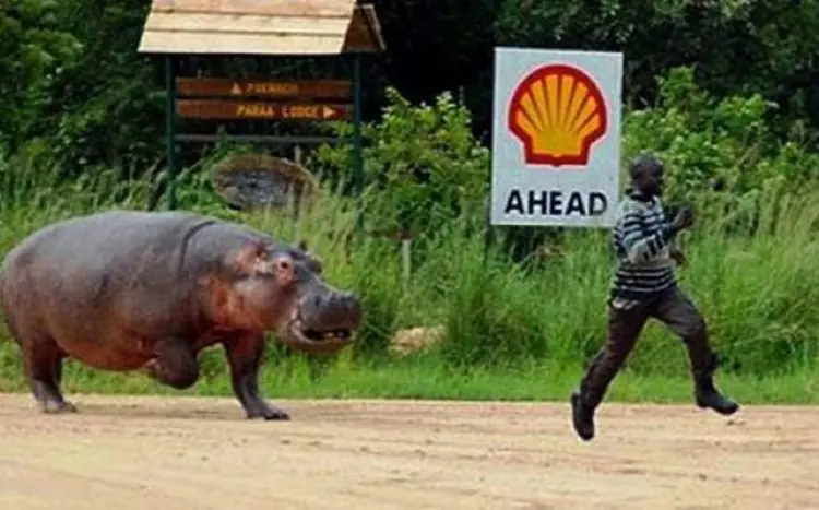 Humor: 32 Momentos en los que sucedió lo que NADIE esperaba