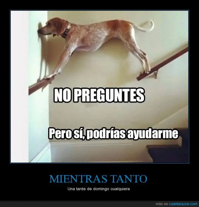 rato