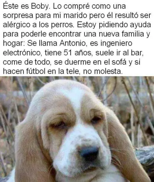 imagenes