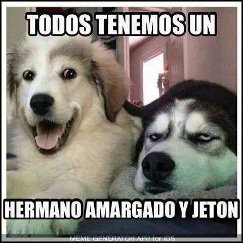 humor de viernes