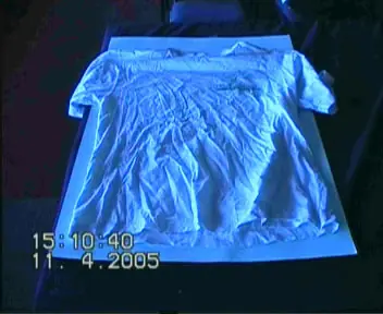 fallecidos