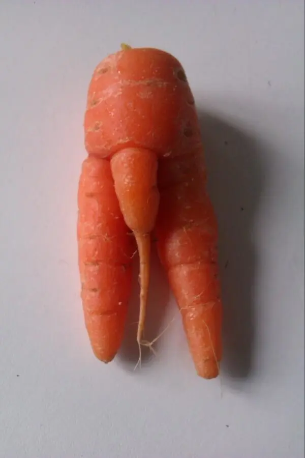 frutas atrevidas