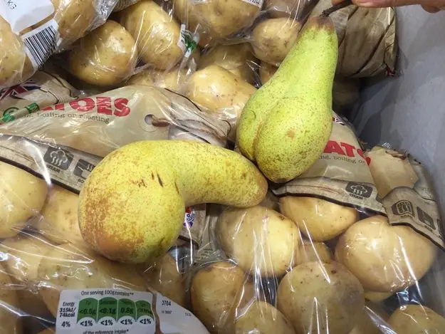 frutas atrevidas