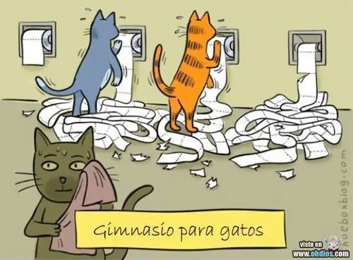 50 imagenes de Humor Lincesco #42