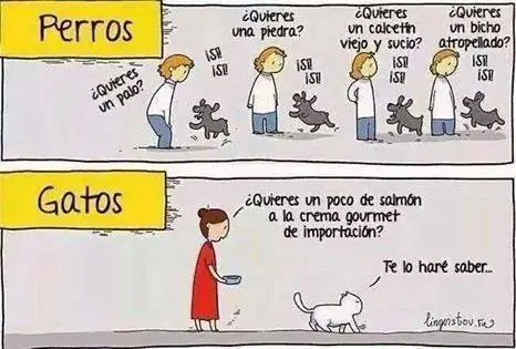 Pequeñas Historias Ilustradas Vol.2