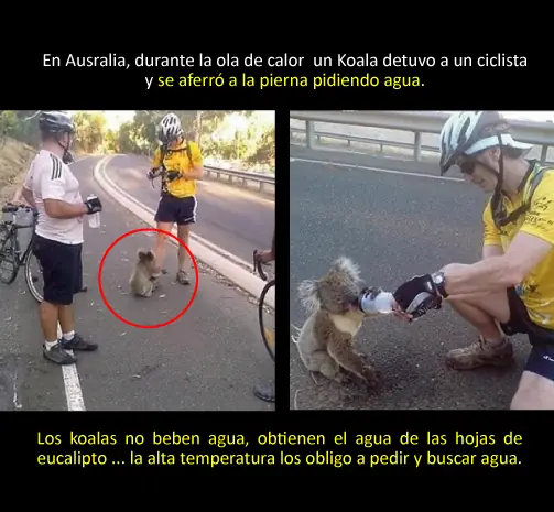 cosas interesantes