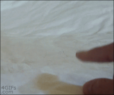 Los Gifs mas Divertidos pasa que te saco una Sonrisa 85º