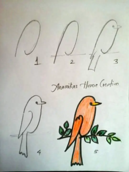 aprende a dibujar
