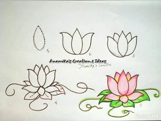 aprende a dibujar
