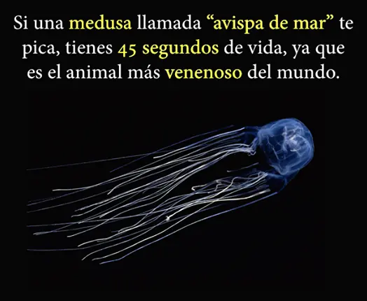 Cosas interesantes # 1