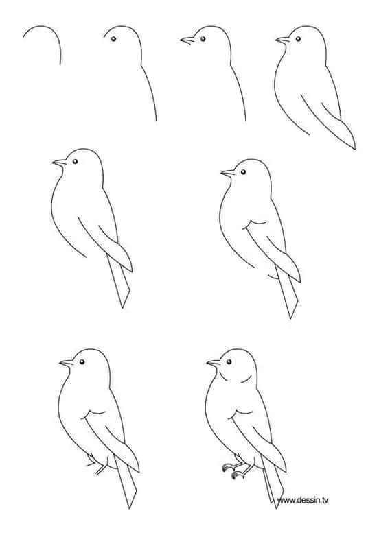 megapost dibujos