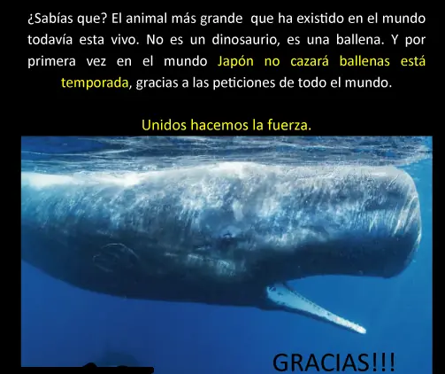 cosas recicladas
