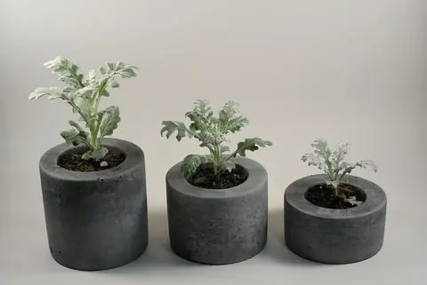 Pasa y aprende a hacer algo