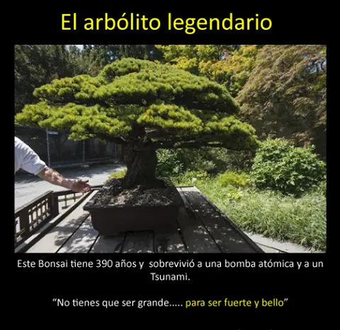 Cosas interesantes # 1