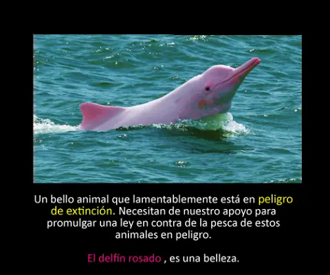 cosas recicladas