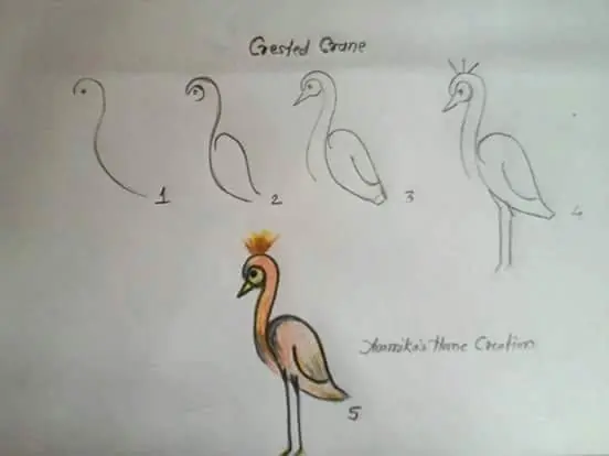 dibujos
