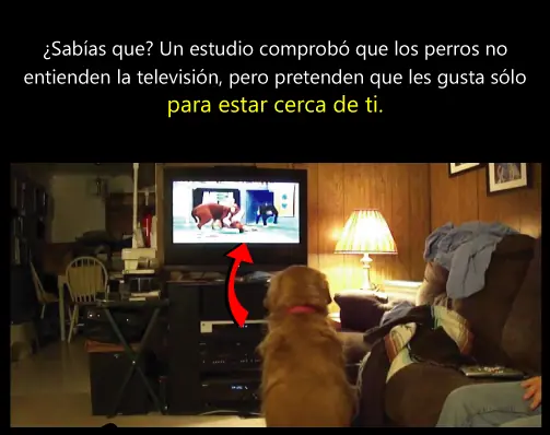 Cosas interesantes # 1