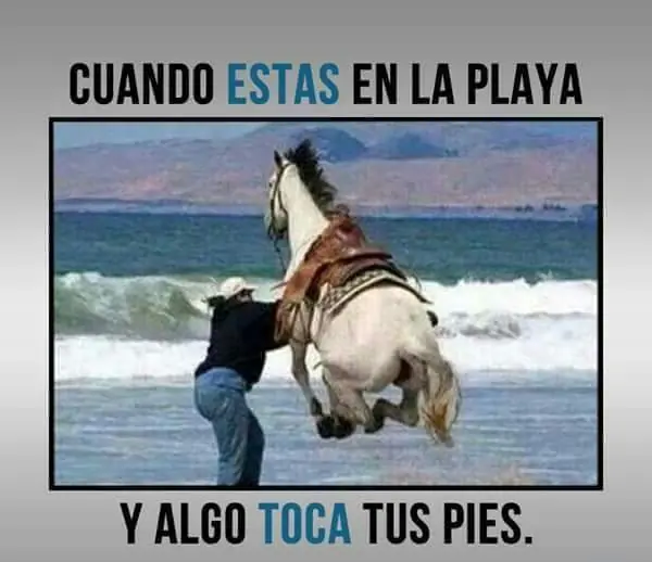 humor