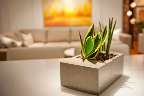 Pasa y aprende a hacer algo