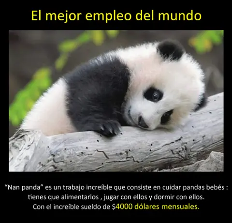Cosas interesantes # 1