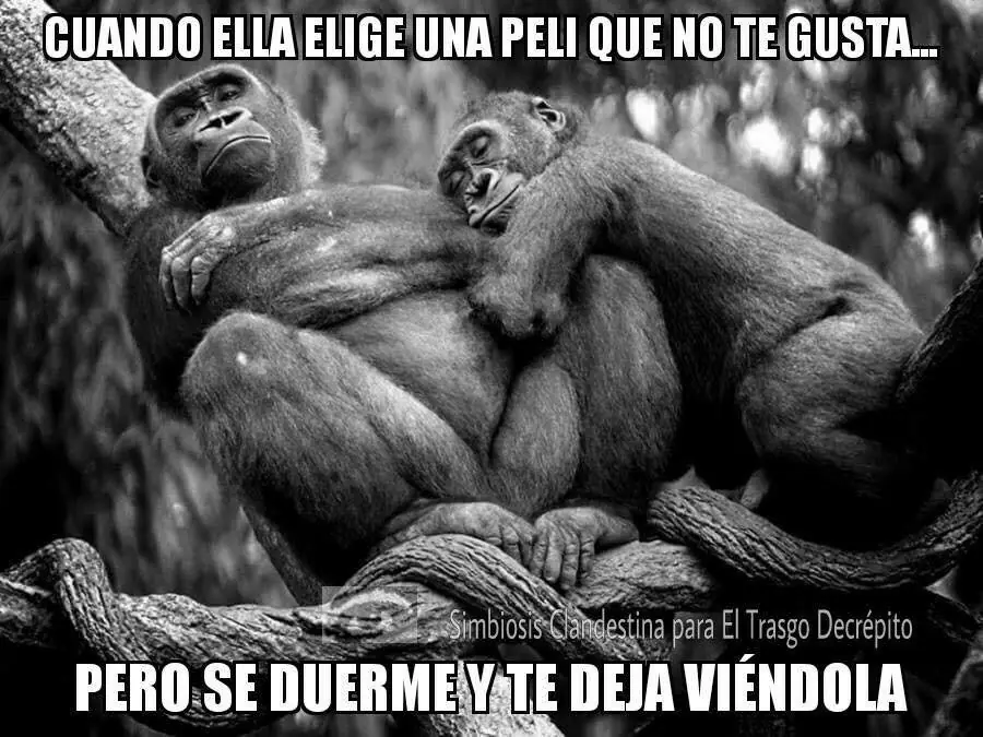 imagenes